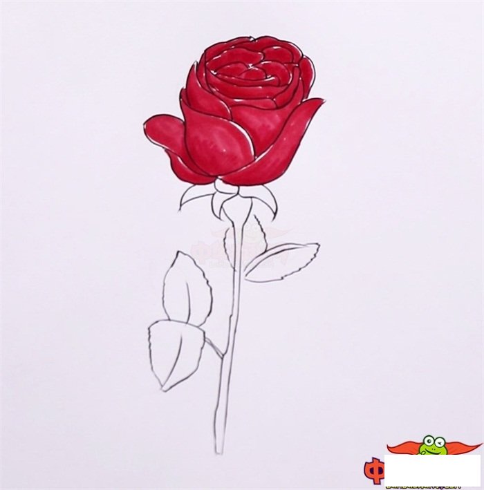 一步一步教你画玫瑰花，玫瑰怎么画一步一步教