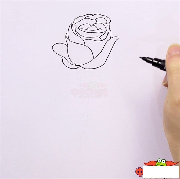 一步一步教你画玫瑰花，玫瑰怎么画一步一步教