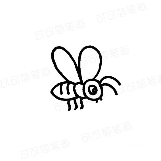 勤劳的小蜜蜂画法昆虫类