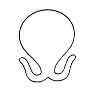 章鱼简笔画的画法步骤教程