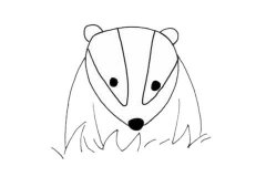卡通獾的简笔画步骤画法及图片大全