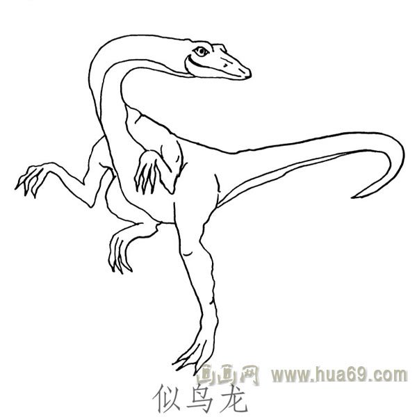 儿童简笔画恐龙：似鸟龙