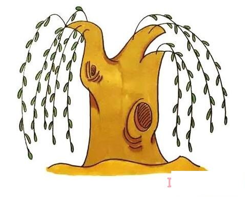 一步一步画柳树简笔画教程彩色简洁易学