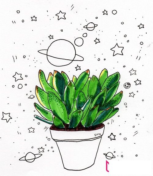 多肉彩绘，植物简笔画