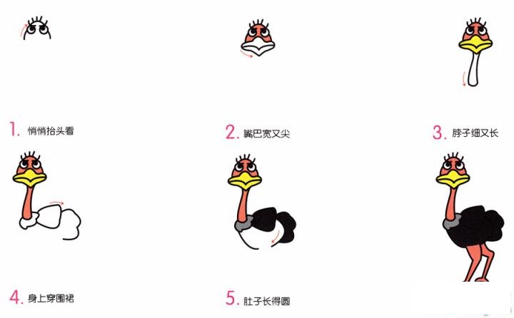 简笔画鸵鸟的具体步骤图示