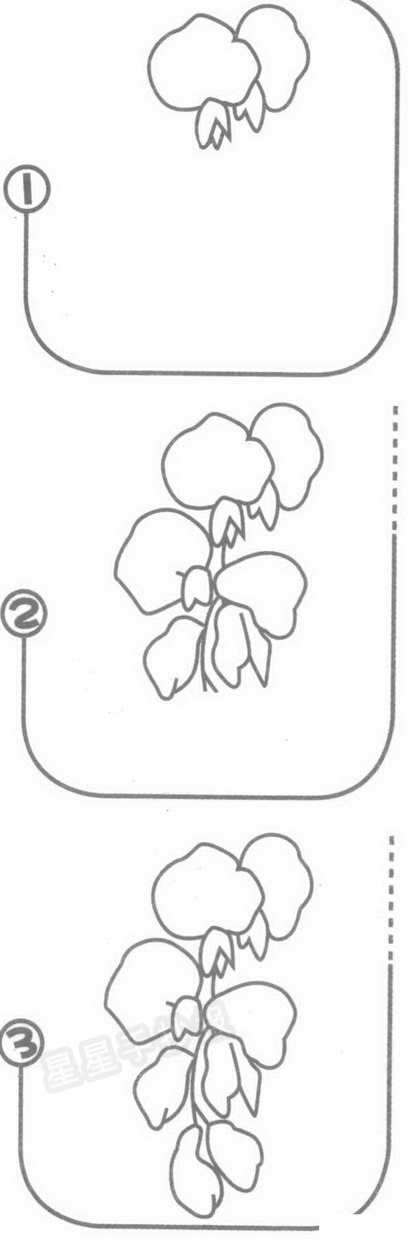 紫藤花简笔画