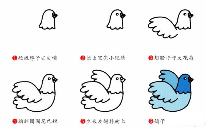 简笔画鸽子的具体步骤图示