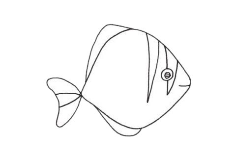 黄鳍鲳简笔画图片