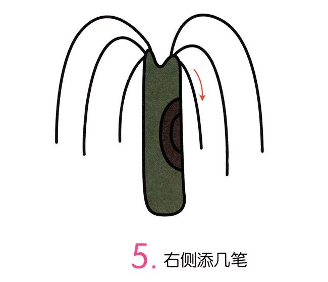 彩色柳树简笔画画法图片