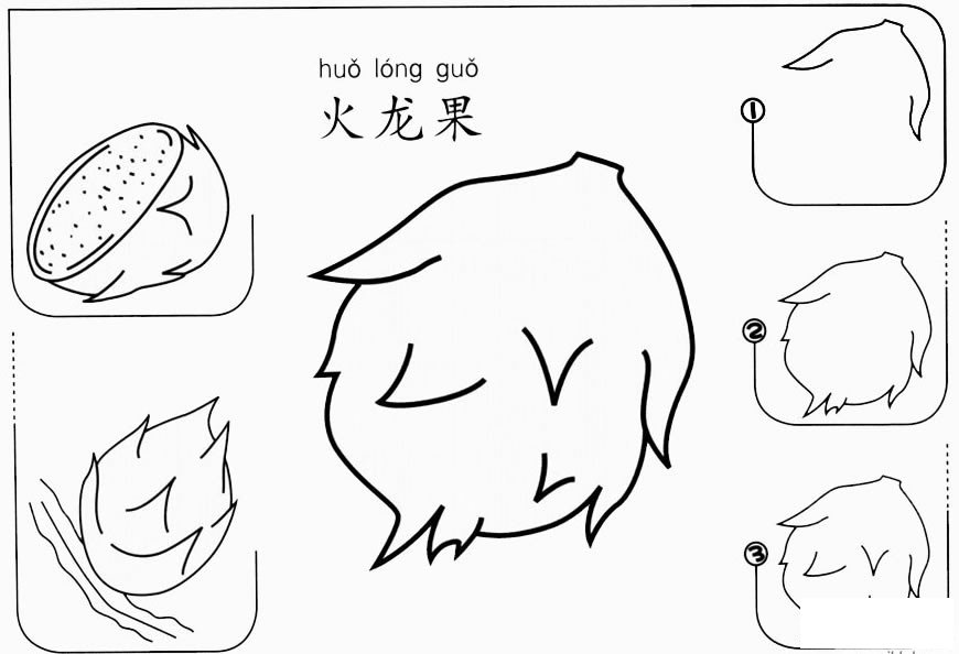儿童火龙果怎么画简笔画步骤图教程