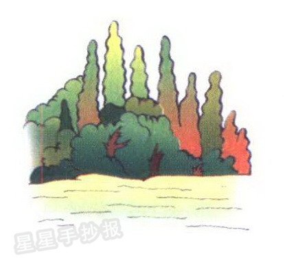 森林简笔画图片大全