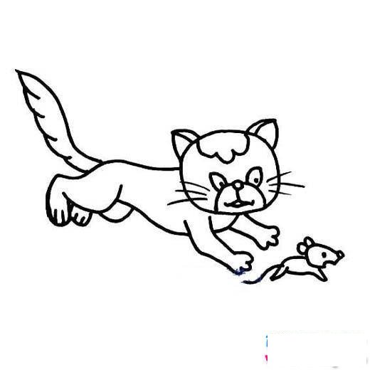 猫捉老鼠简笔画