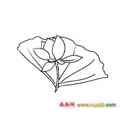 花卉简笔画：待放的荷花