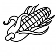 玉米粮食简笔画步骤图片大全