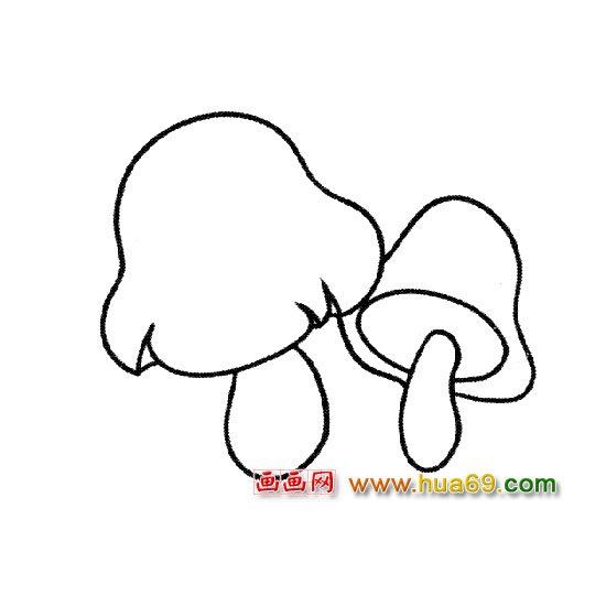 植物简笔画：草菇2