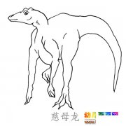 儿童简笔画图片：大尾巴的慈母龙