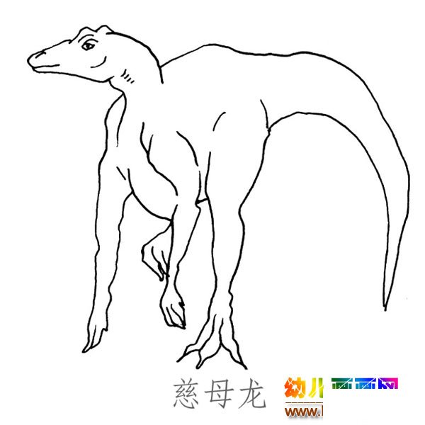 儿童简笔画图片：大尾巴的慈母龙