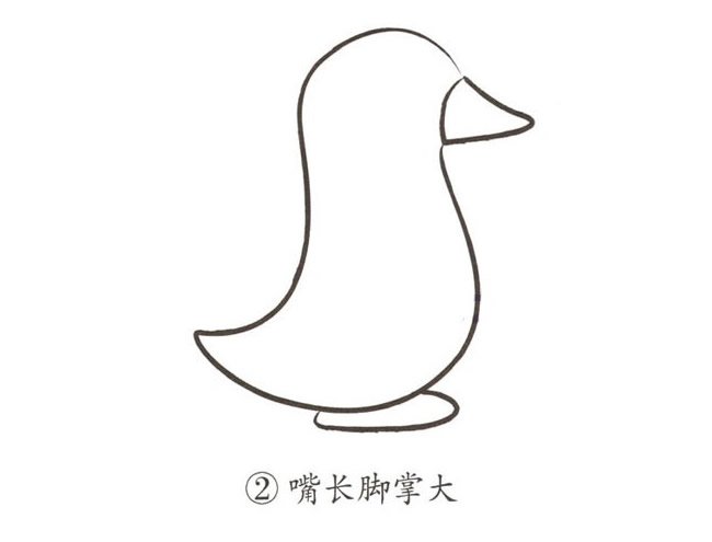 企鹅的画法简笔画图片