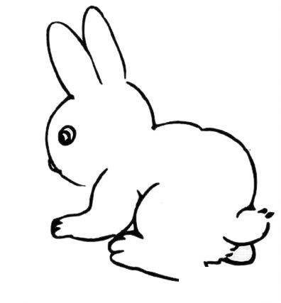 兔子胡萝卜简笔画_小兔子和胡萝卜简笔画图片大全