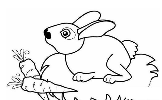 兔子胡萝卜简笔画_小兔子和胡萝卜简笔画图片大全