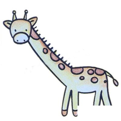 长颈鹿简笔画彩色图片