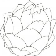 卷心菜蔬菜简笔画步骤图片大全