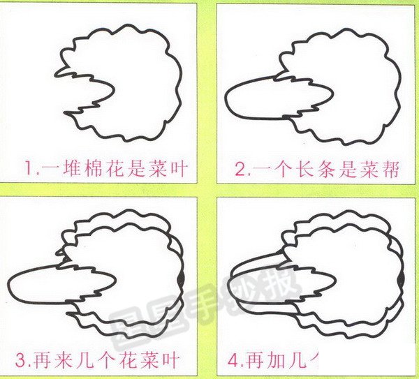 白菜简笔画