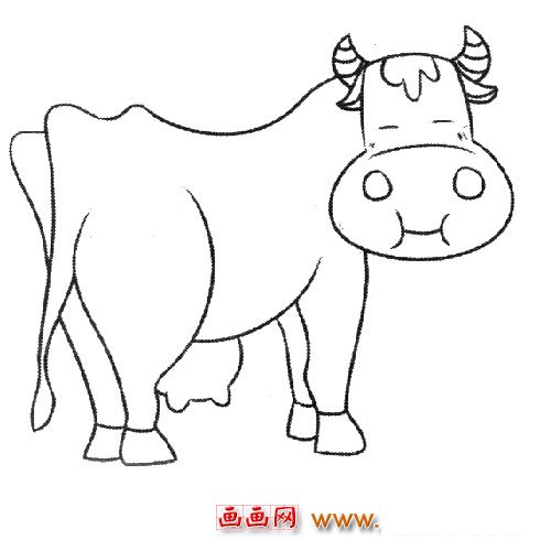 动物简笔画：一只老黄牛