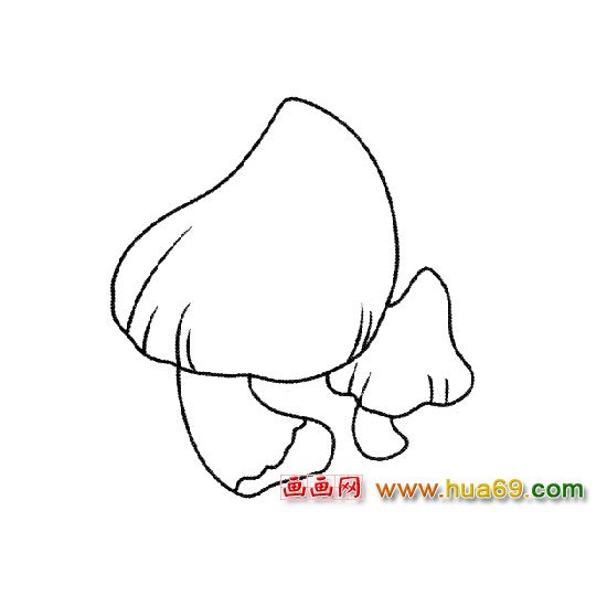 植物简笔画：蘑菇2