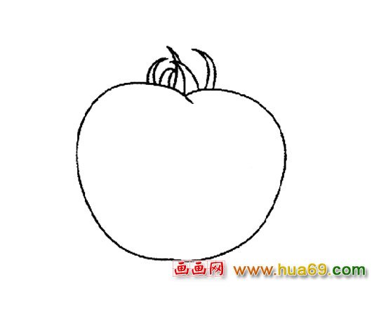 简笔画：可口的西红柿1
