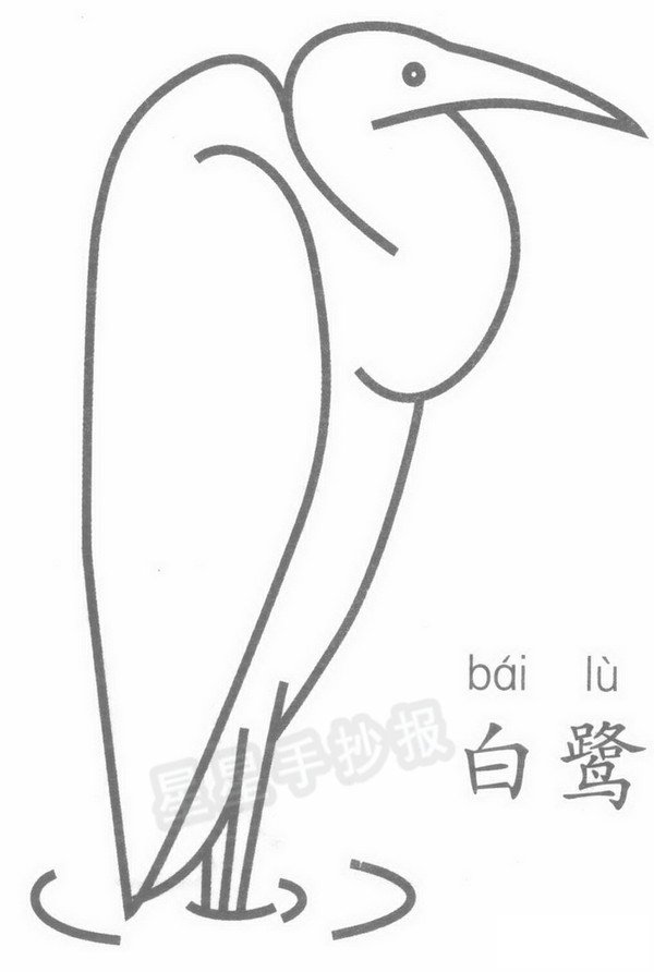 白鹭简笔画