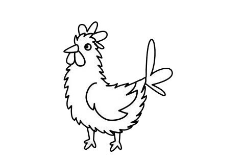 公鸡简笔画图片
