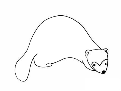 貂简笔画图片