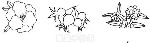 石榴花简笔画