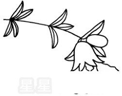 石榴花简笔画