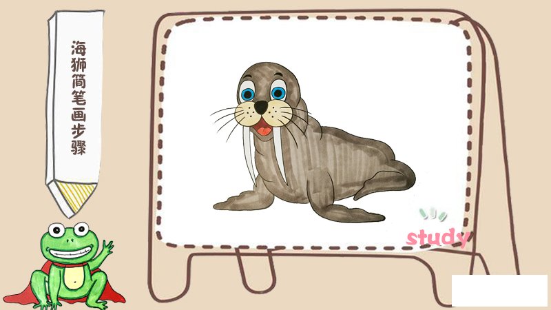 海狮简笔画步骤