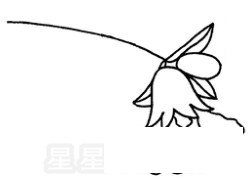 石榴花简笔画