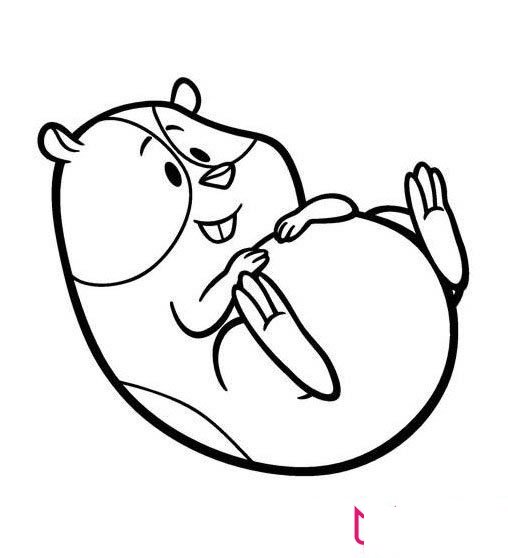 好看的动物简笔画大全，卡通豚鼠简笔画