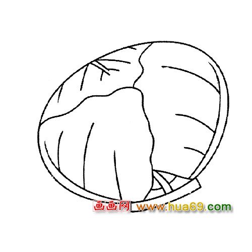 简笔画：新鲜的大白菜4