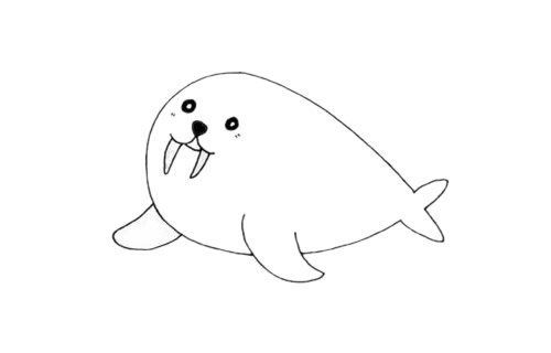海象简笔画图片