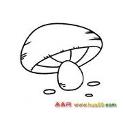 植物简笔画：白蘑菇4