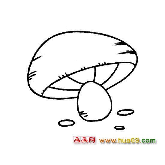 植物简笔画：白蘑菇4