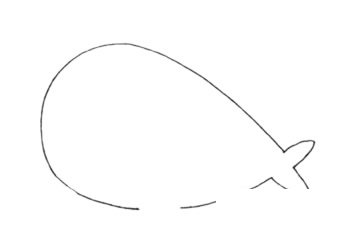 海象简笔画图片