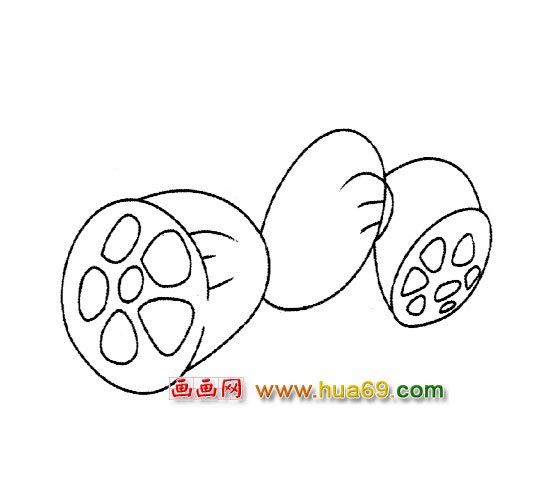 莲藕简笔画：被切开了3