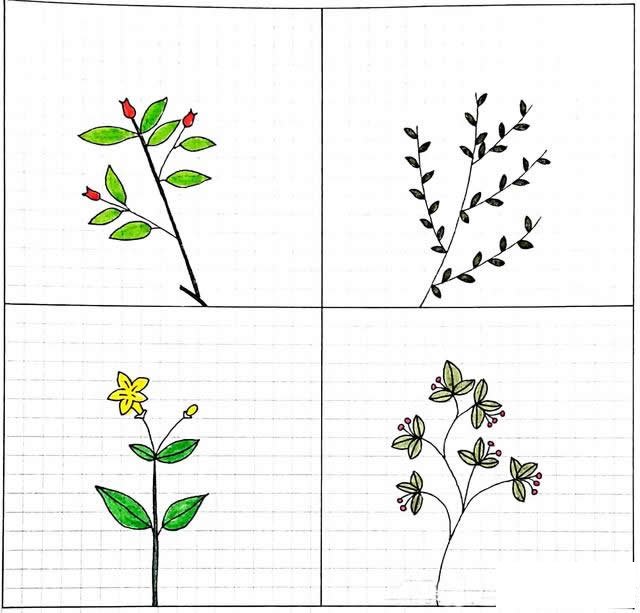 小清新绿植简笔画