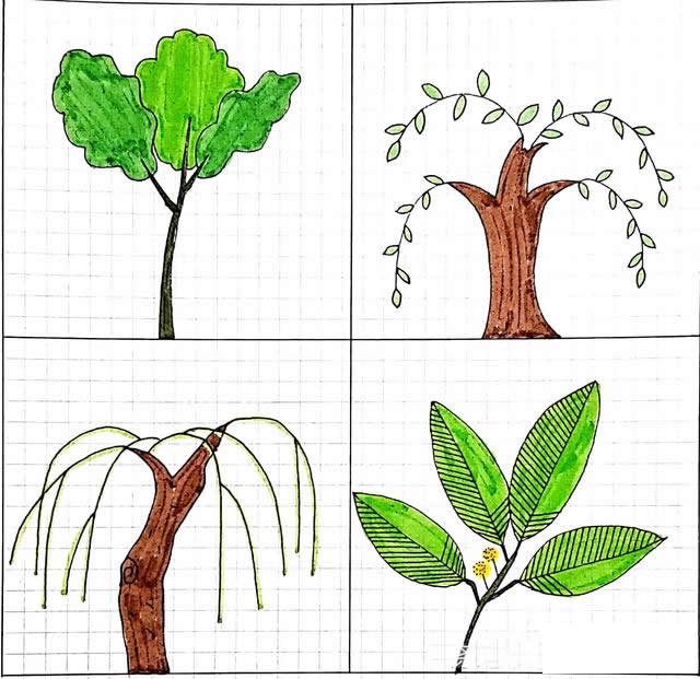 小清新绿植简笔画
