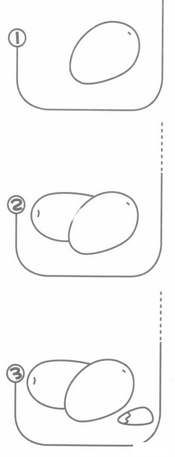 红枣简笔画