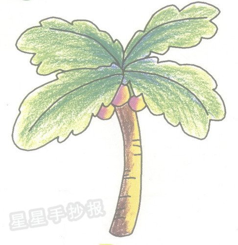 椰子树简笔画图片