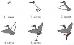 小灰鹤简笔画画法_怎么画小灰鹤的简笔画