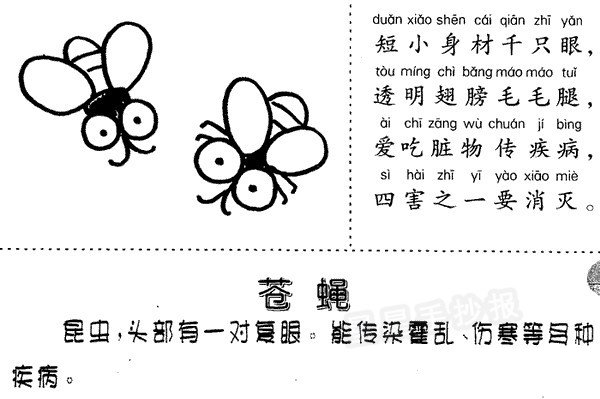 苍蝇简笔画